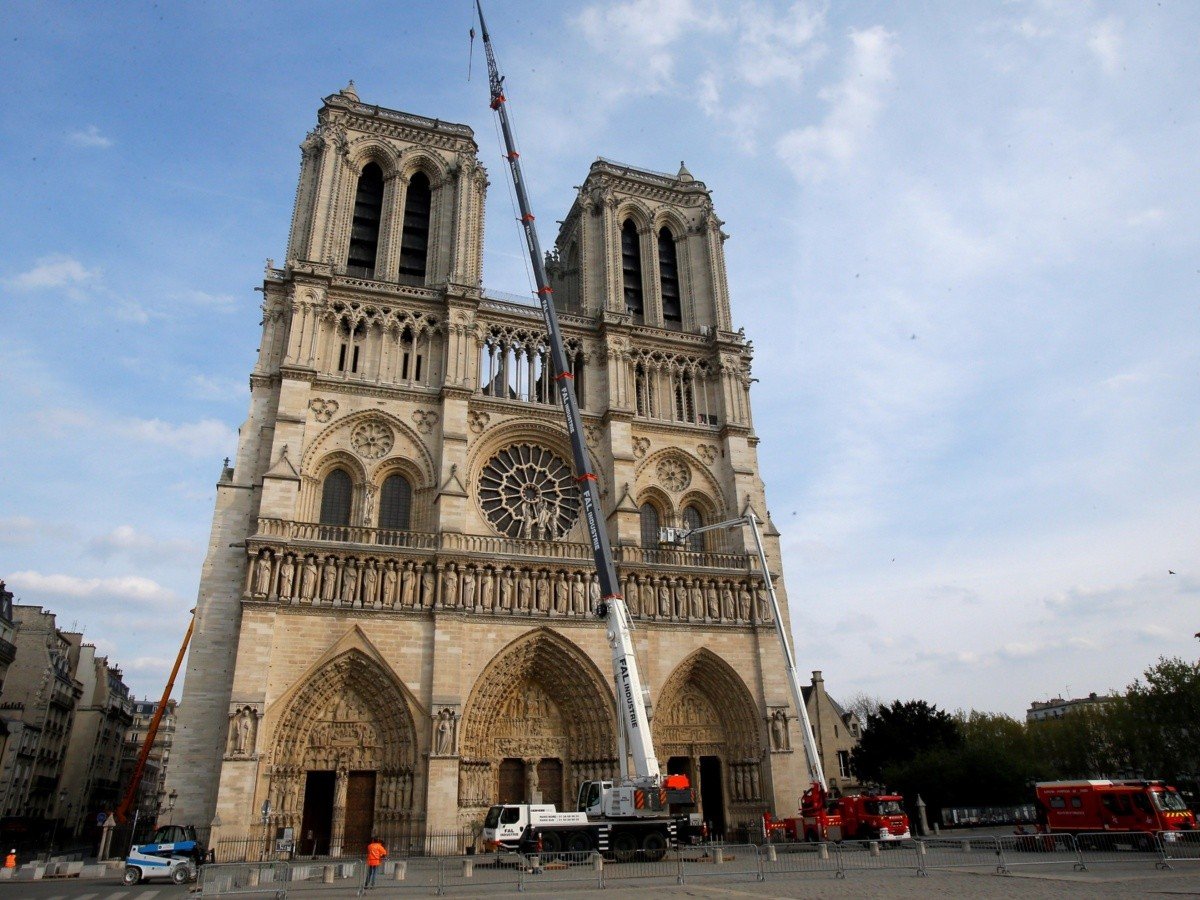 Misterio sin resolver: ¿Qué pasó con las 150 mil abejas de Notre Dame?