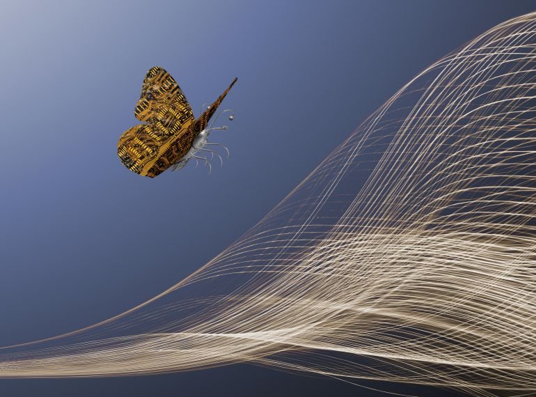Activación muscular durante el aleteo de las alas de la mariposa