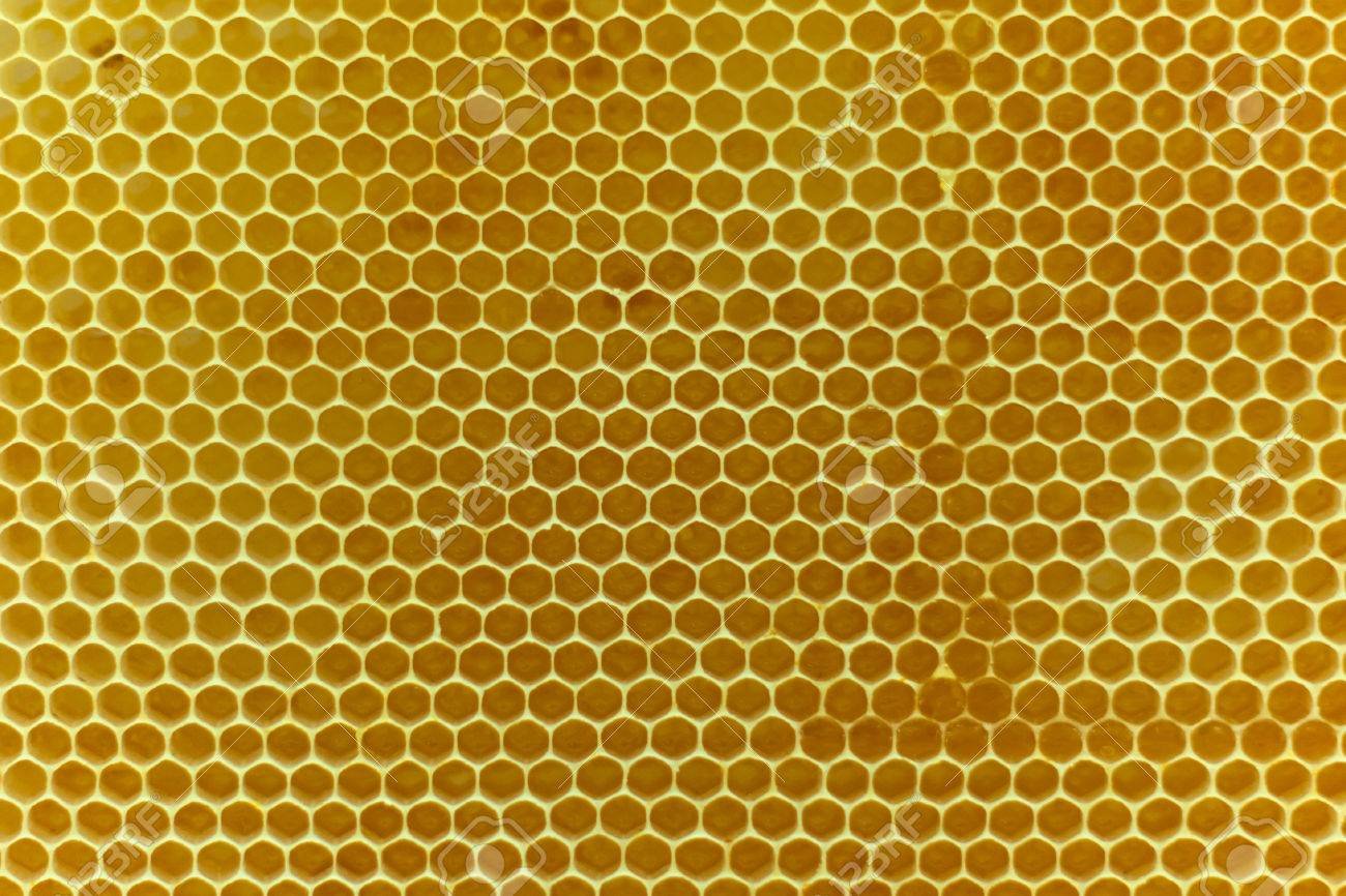 La humedad en la cera de abeja: su importancia y cantidad necesaria