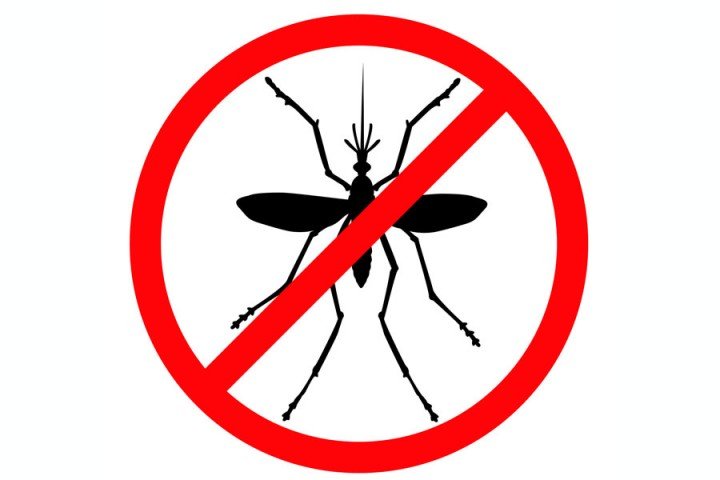 Hábitat de los mosquitos anopheles y cómo prevenir su propagación